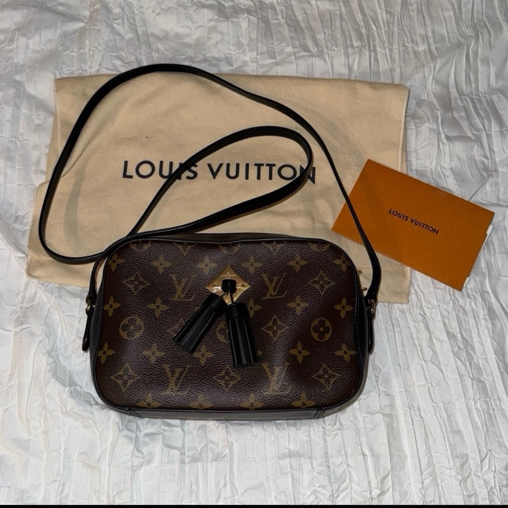 Louis Vuitton Black and Brown Monogram Bag